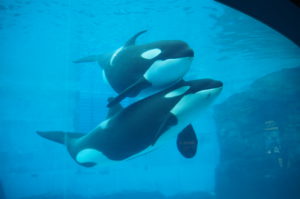 はじめまして(*^^*)