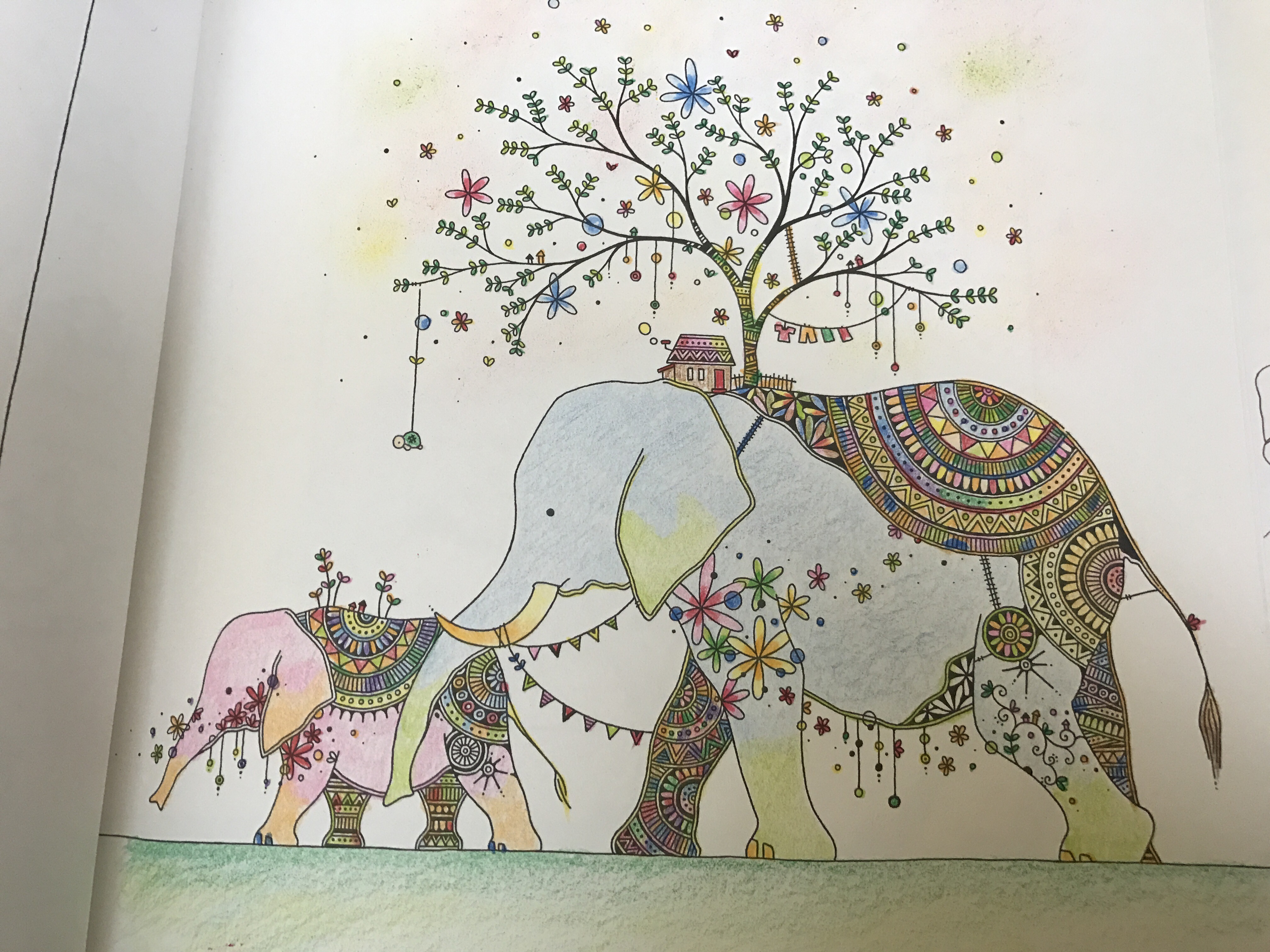 梅雨の楽しみ方