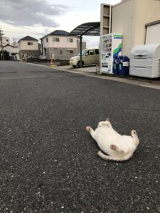 木工イベント企画中！