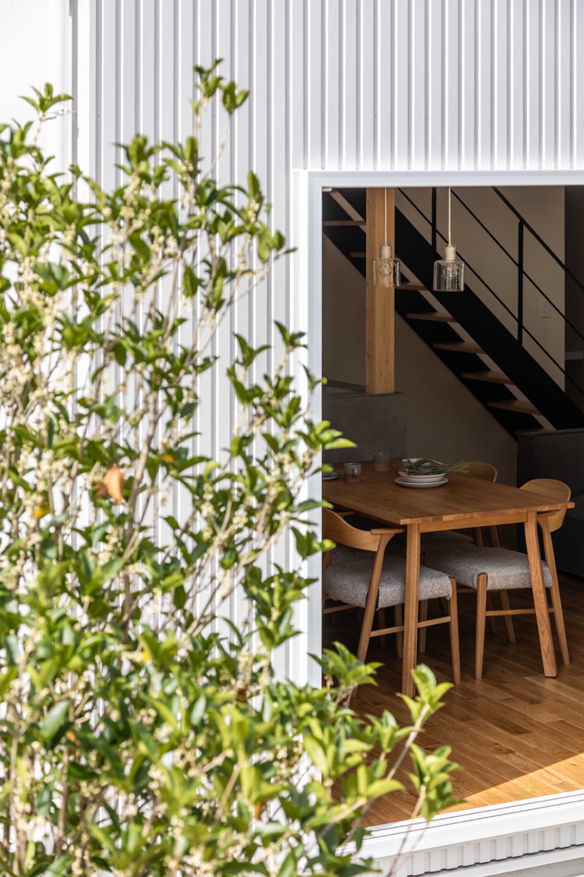 白いガルバリウムの外壁をバックにシンボルツリーが映える写真