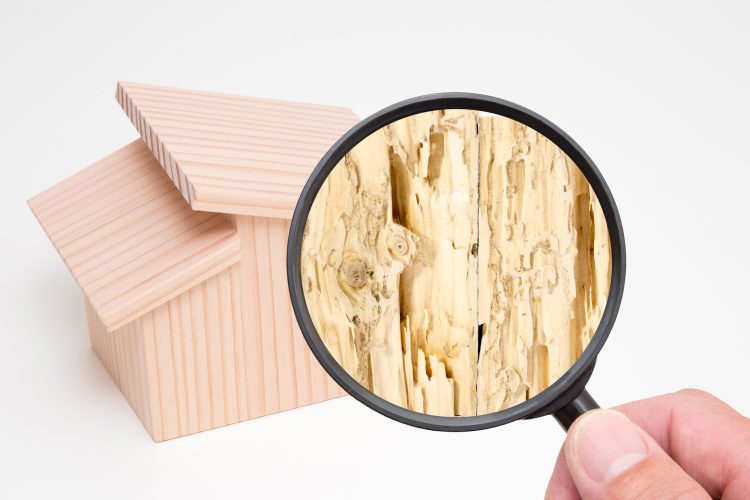 名古屋市の工務店・夢工房キッチンくらぶが考える 自然素材の家と相性のいいシロアリ対策「ホウ酸」